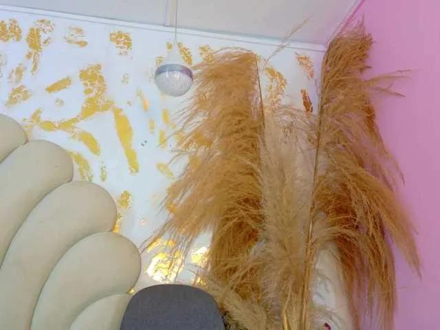 Freechat blaisysmith on BongaCams