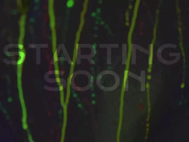 Freechat HEYBANANA on BongaCams