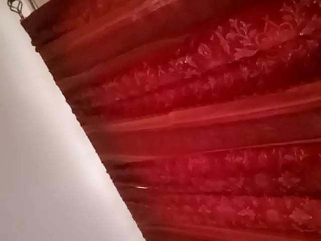 Offline Horny-vyxen on BongaCams