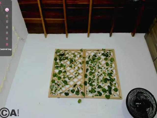 Offline isabelasweet on BongaCams