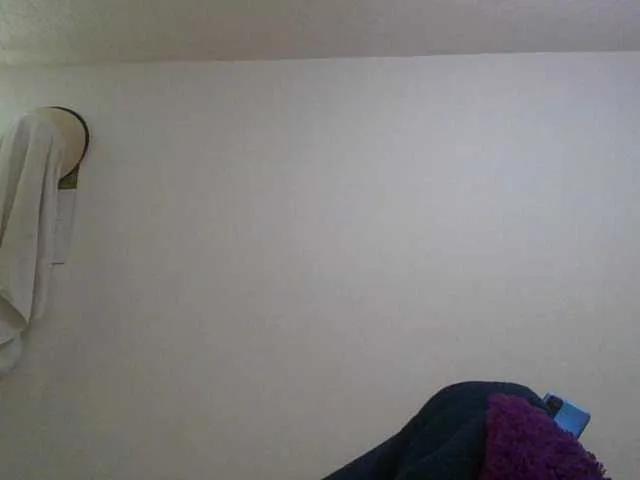 Offline JuanaBrunette on BongaCams