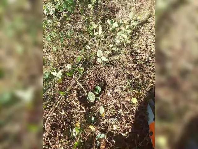 Offline Oksy3 on BongaCams