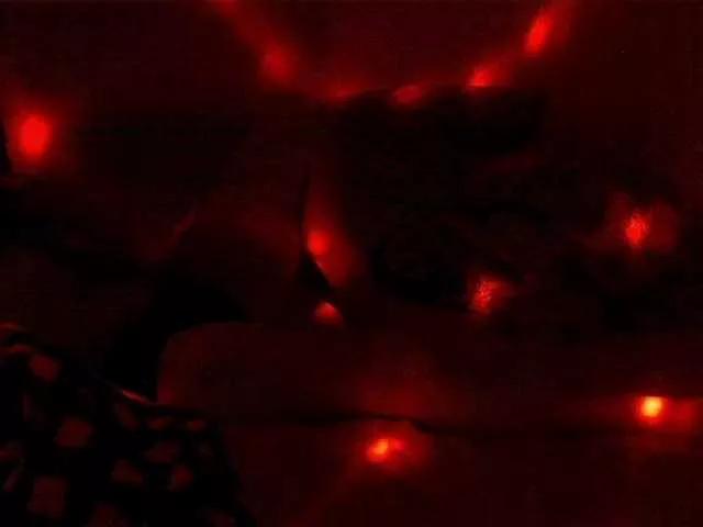 Freechat OVERFLEX47 on BongaCams