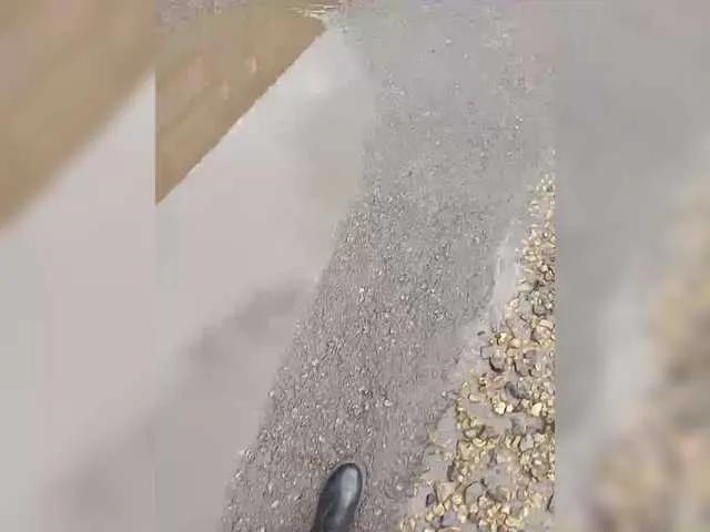 Offline relishsavor on BongaCams