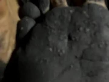 Freechat tifany__ross on Chaturbate