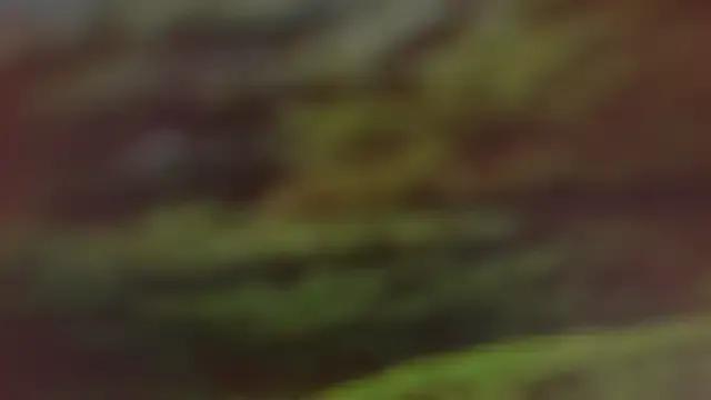 Freechat Dalila_Sky on StripChat