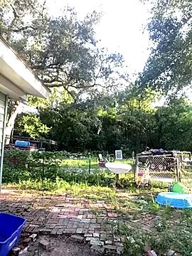 Freechat favoritestepsis on StripChat