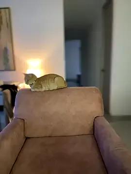 Private Im_Valentina on StripChat