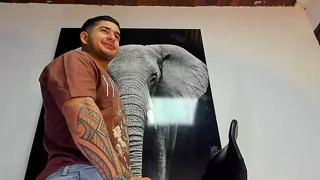 Freechat king_falconer on StripChat