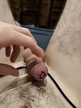 LeoSubLifestyle4You — Freechat on StripChat