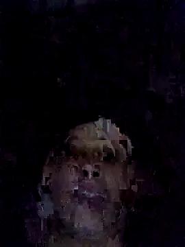 StripChat vtmbae is Freechat vtmbae — Freechat on StripChat